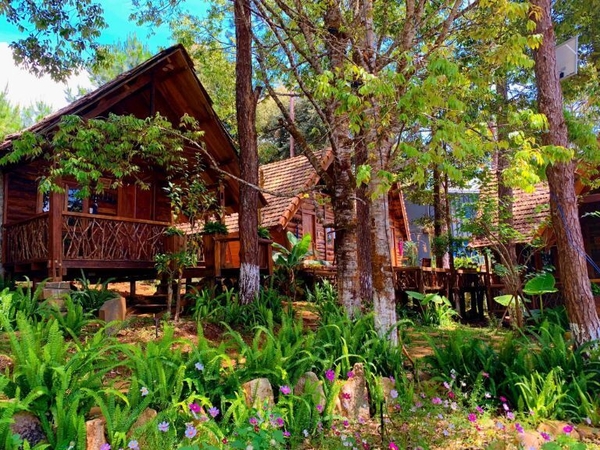 Bỏ Phố Về Vườn: Trải Nghiệm Sống Xanh An Nhiên Tại The Valley Graden Cần Thơ