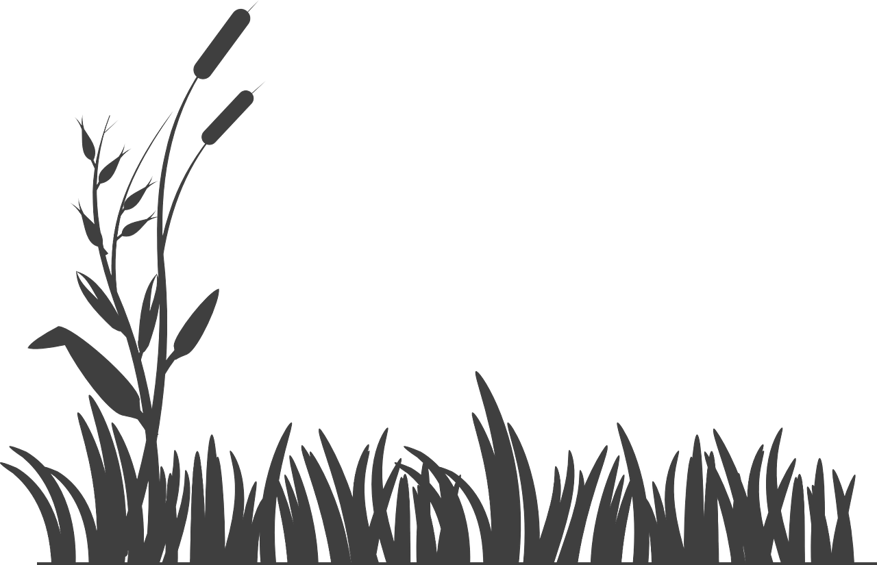 SẢN PHẨM NÔNG SẢN TẠI THE VALLEY GRADEN